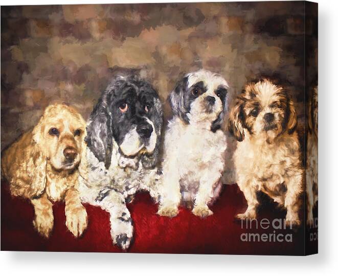 Cute Canvas Print featuring the painting The Four Amigos by Janice Pariza