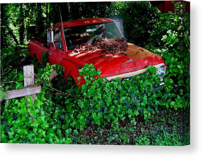 Chevrolet Canvas Print featuring the photograph The Ivy Chevy by Larry Bacon