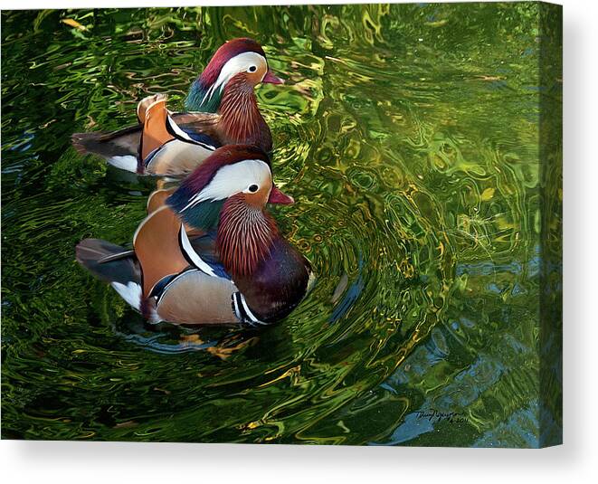 Mandarin Duck Canvas Print featuring the photograph The Mandarin Brothers by Thanh Thuy Nguyen