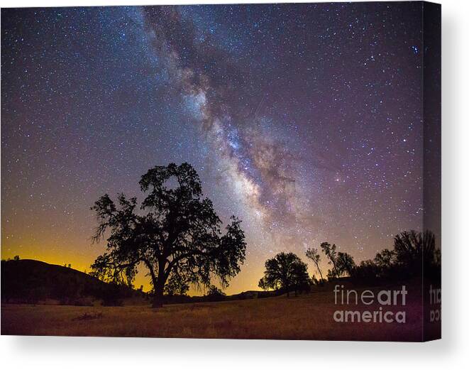 Milky Way Canvas Print featuring the photograph The Milky Way And Perseids by Mimi Ditchie