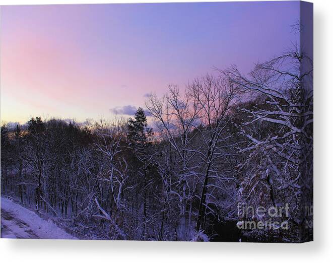 Morning Sky Canvas Print featuring the photograph The Morning Glow by Sudakshina Bhattacharya