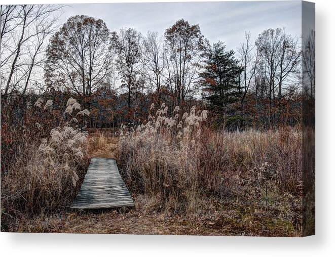Rural Canvas Print featuring the photograph The Preserve by Karen Smale
