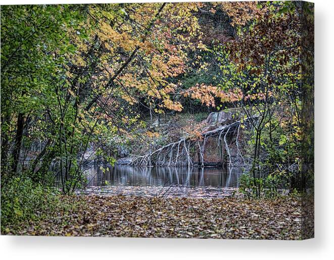 Fall Canvas Print featuring the photograph The Quarry 2016 by Thomas Young