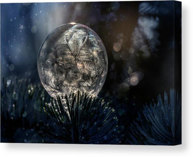 Ball Canvas Print featuring the photograph The spirit of winter by Jaroslaw Blaminsky