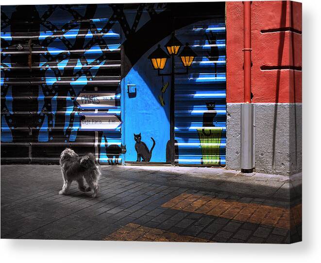Cats Canvas Print featuring the photograph The Street Cats. by Juan Luis Duran