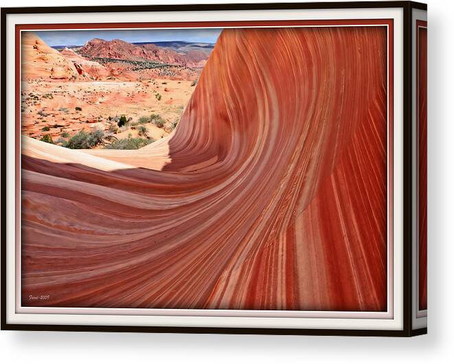 Coyote Canvas Print featuring the photograph The Wave III by Farol Tomson