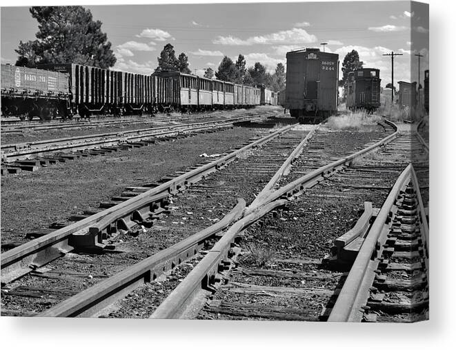 Trains Canvas Print featuring the photograph The Yard by Ron Cline