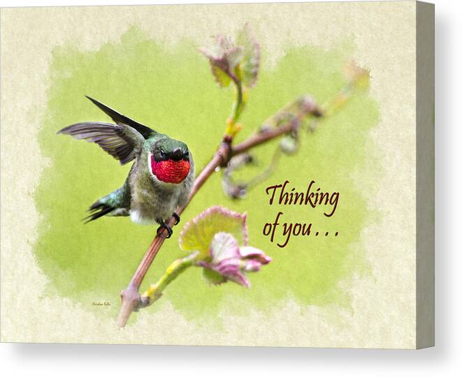 Thinking Of You Canvas Print featuring the mixed media Thinking of You Hummingbird Wing and a Prayer Greeting Card by Christina Rollo