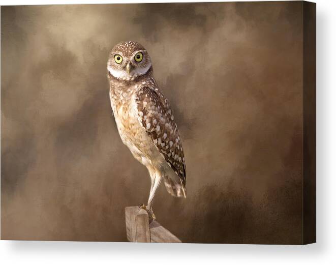 Owl Canvas Print featuring the photograph Those Golden Eyes by Kim Hojnacki