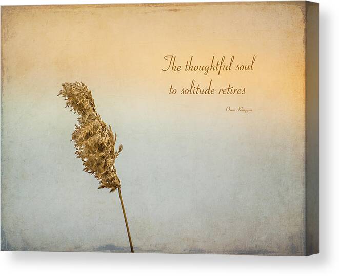 Reed Canvas Print featuring the photograph Thoughtful Soul by Cathy Kovarik