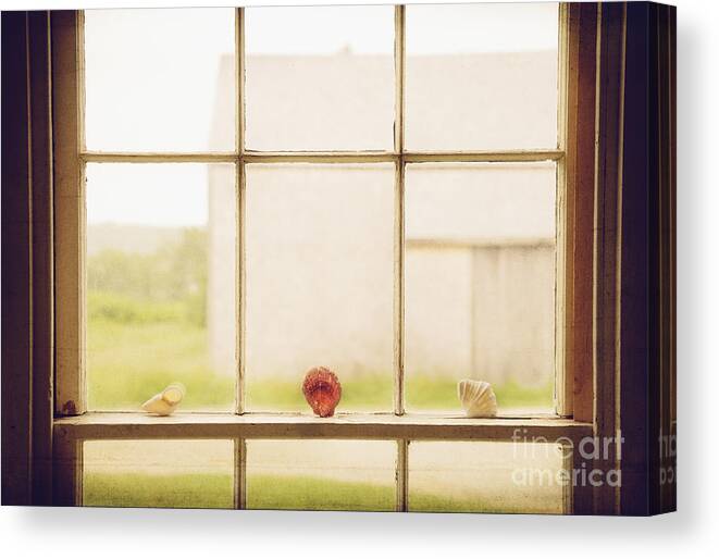 Our Town Canvas Print featuring the photograph Three Window Shells by Craig J Satterlee