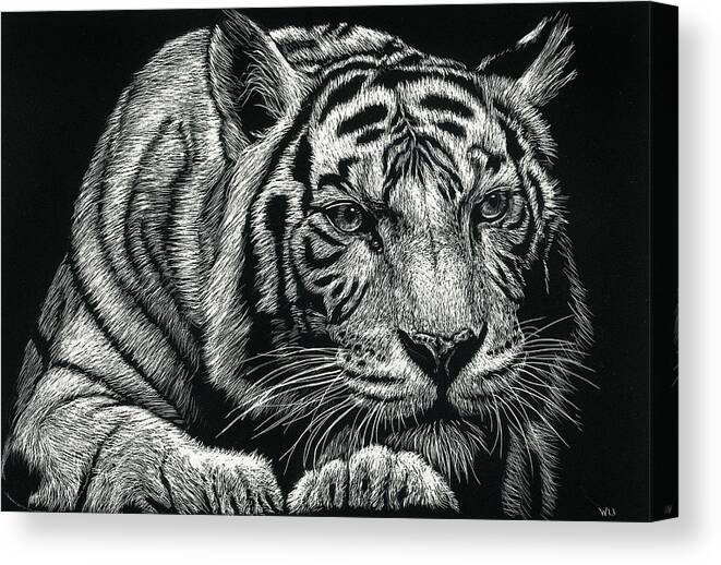 Tiger Canvas Print featuring the drawing Tiger Pause by William Underwood