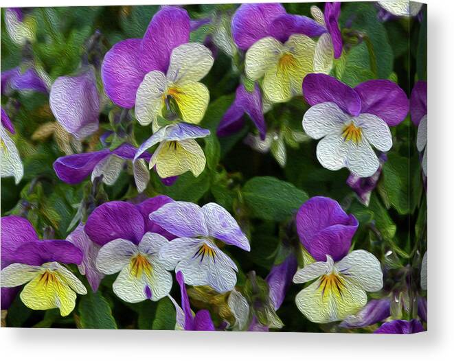 Floral Canvas Print featuring the photograph To Every Thing There Is A Season by Tracie Fernandez