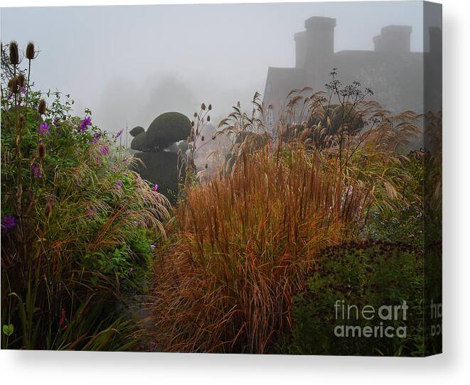 Topiary Canvas Print featuring the photograph Topiary Peacocks in the Autumn Mist, Great Dixter 2 by Perry Rodriguez