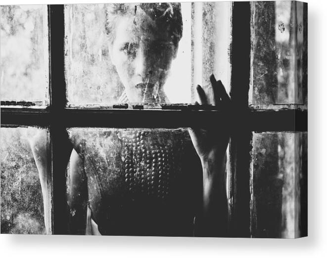 Window Canvas Print featuring the photograph Trapped by Akhmad Fauzi Nurulhamzah