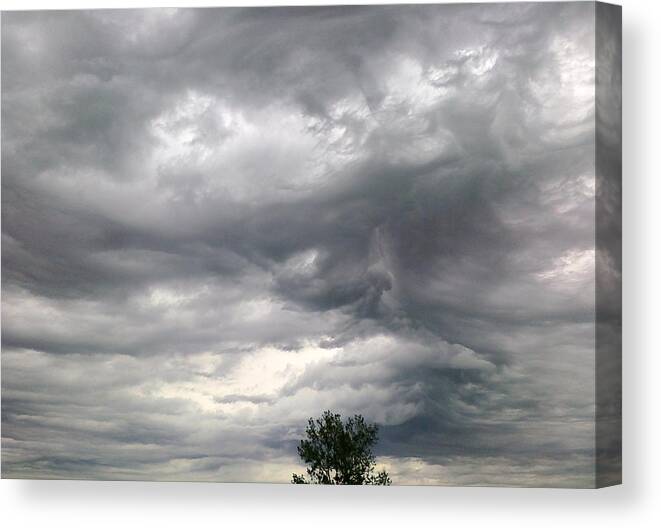 Tree Canvas Print featuring the photograph Tree and Cloud by Stephen Doughten