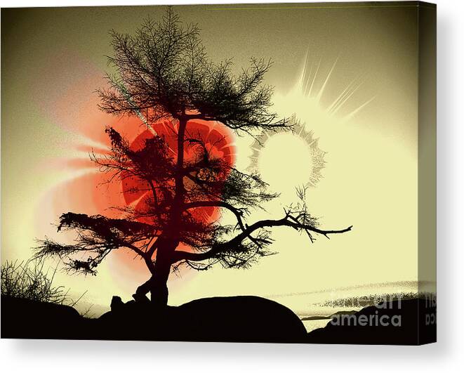 Tree Canvas Print featuring the photograph Tree Blossom 2 by Elaine Hunter
