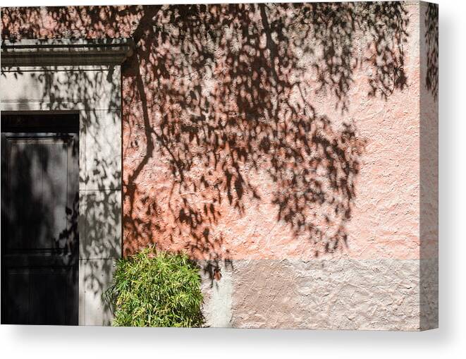 Mexico Canvas Print featuring the photograph Tree shadows on stucco. by Rob Huntley