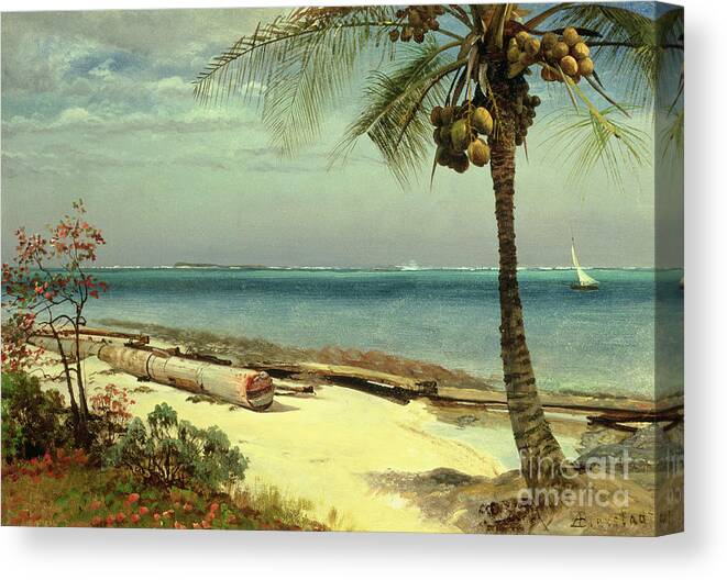Shore; Exotic; Palm Tree; Coconut; Sand; Beach; Sailing Canvas Print featuring the painting Tropical Coast by Albert Bierstadt