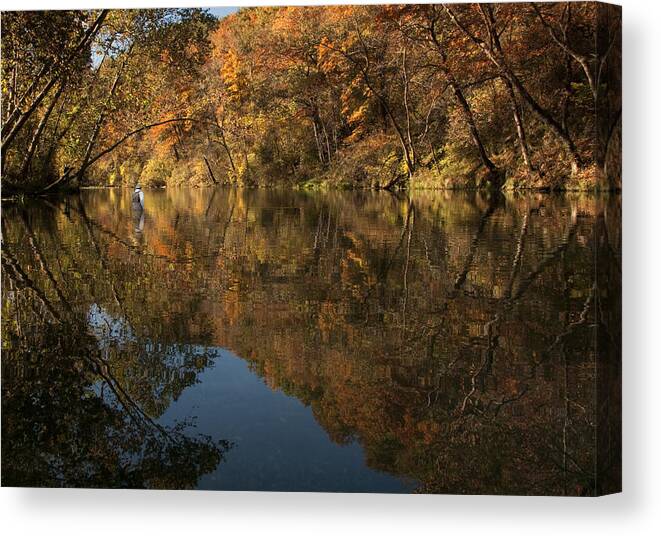 Bennett Canvas Print featuring the photograph Trout Season at Bennett Spring by Mitch Spence