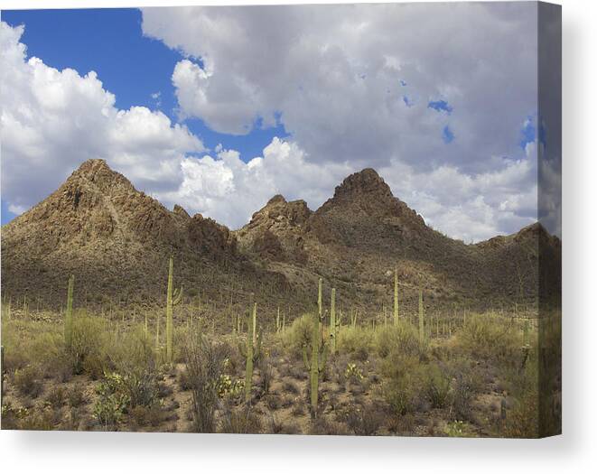 Tucson Mountains Canvas Print featuring the photograph Tucson Mountains by Elvira Butler