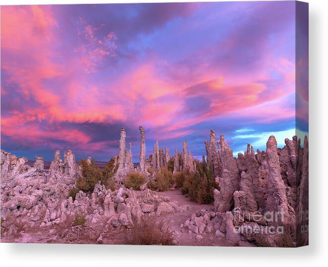 Eastern Sierra Canvas Print featuring the photograph Tufa Sunset by Mimi Ditchie