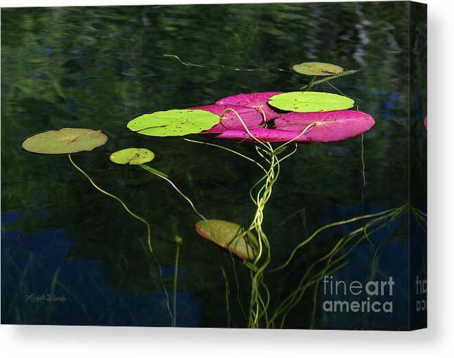 Twister Canvas Print featuring the photograph Twister by Michelle Constantine