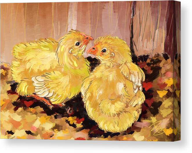 Animal Canvas Print featuring the digital art Two baby Cornish chicks by Debra Baldwin