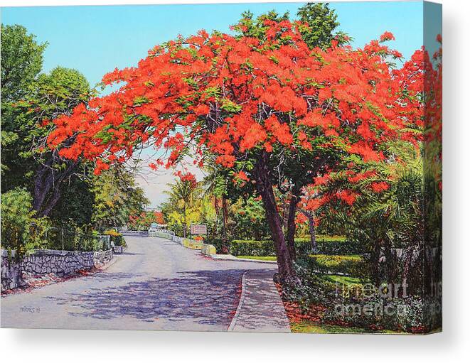 Eddie Canvas Print featuring the painting UBS Poinciana by Eddie Minnis