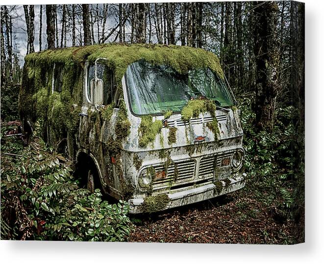 Betty Depee Canvas Print featuring the photograph Van Mossison by Betty Depee