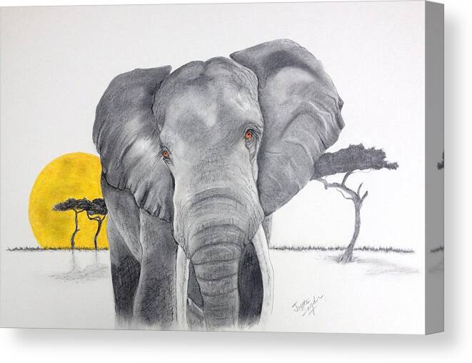 Elephant Canvas Print featuring the drawing Vanishing Elephant by Joette Snyder