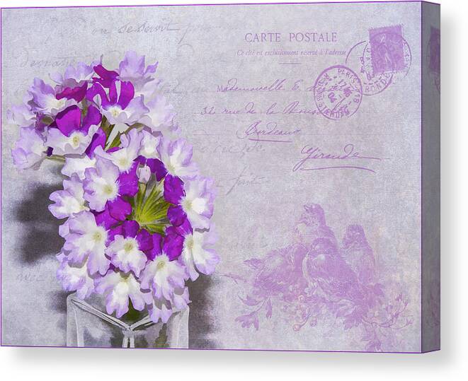 Flowers Canvas Print featuring the photograph Verbena by Cathy Kovarik