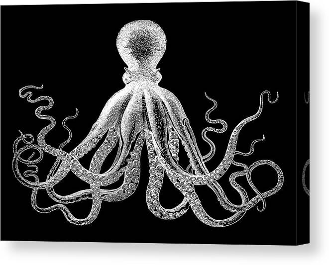 Octopus Canvas Print featuring the digital art Vintage Octopus by Eclectic at Heart
