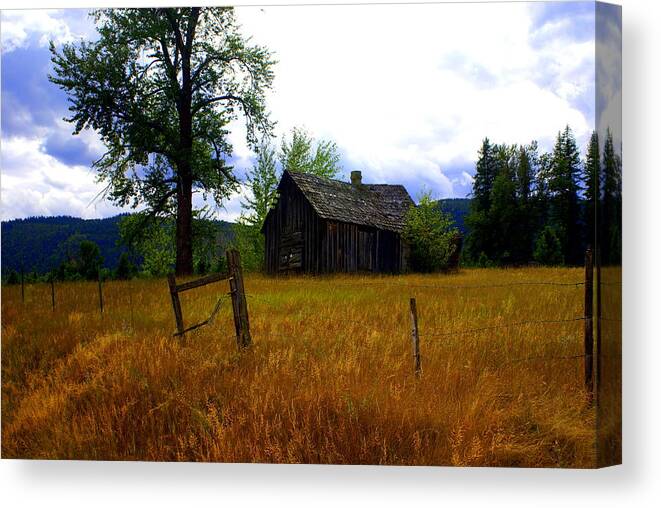 Landscape Canvas Print featuring the photograph Washington Homestead by Marty Koch