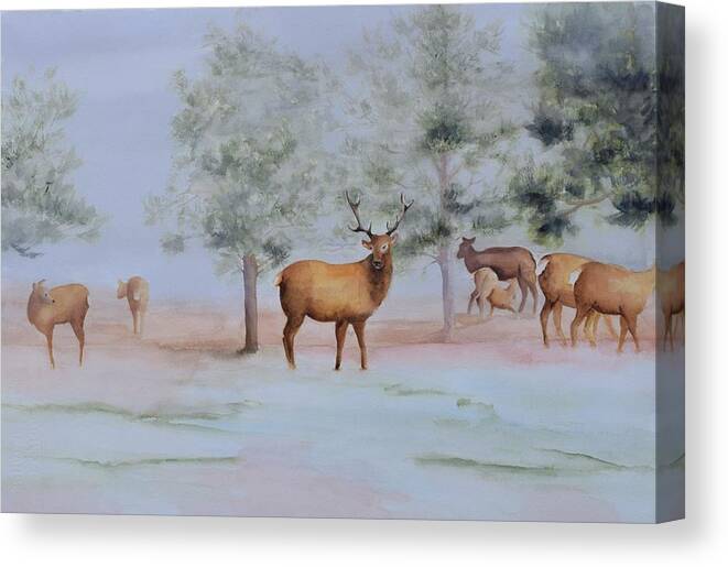 Elk Canvas Print featuring the painting Watching and Listening by Celene Terry