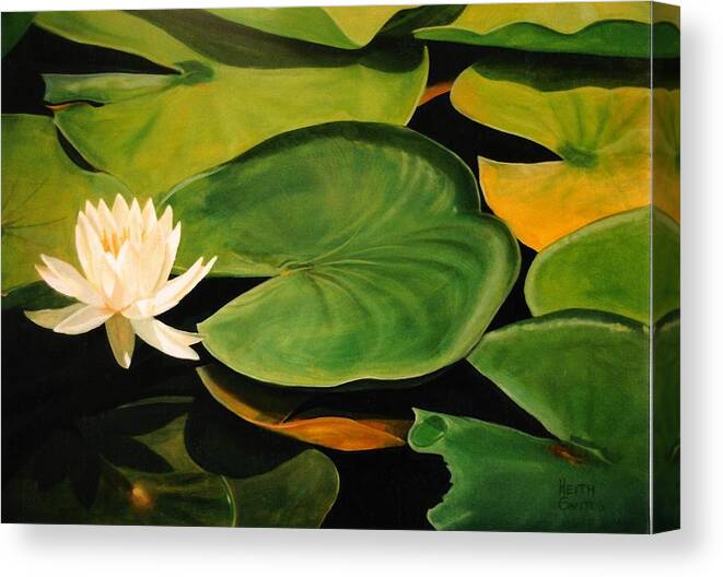 Lily Canvas Print featuring the painting Water Lily by Keith Gantos
