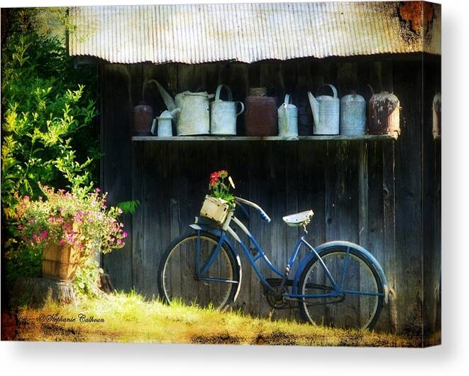Old Bike Canvas Print featuring the photograph Watering Cans and Gerbera Daisies by Stephanie Calhoun
