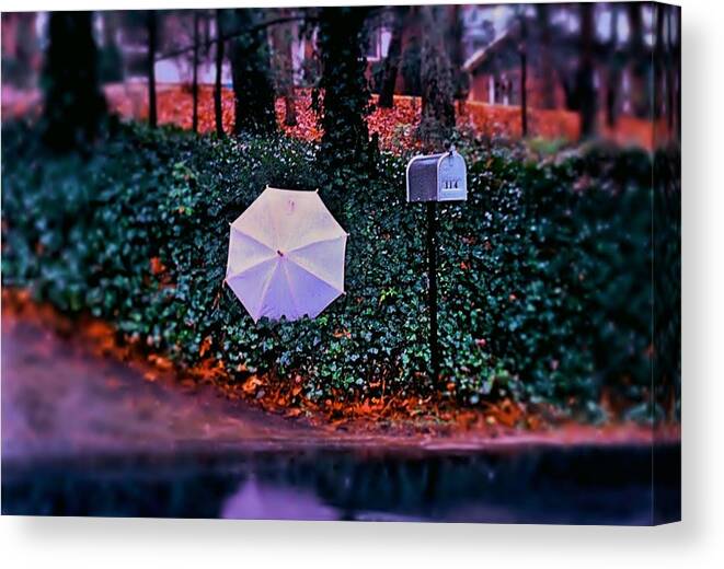 Fine Art Canvas Print featuring the photograph While I Wait by Rodney Lee Williams