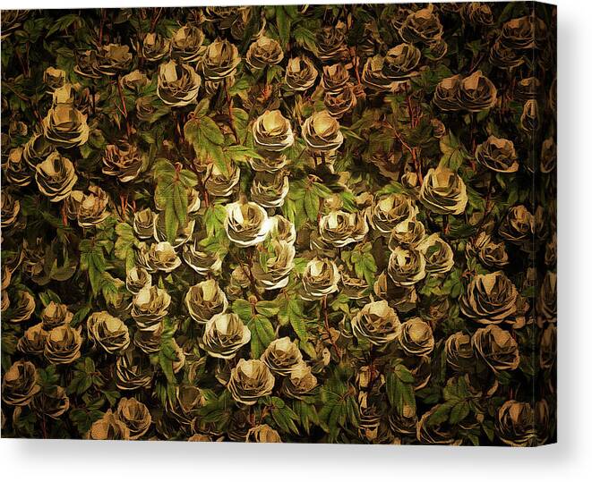 Amber Queen Canvas Print featuring the painting White roses by Jan Keteleer