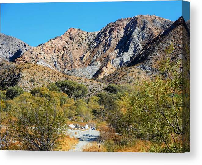 Whitewater Canvas Print featuring the photograph Whitewater Reserve by Lisa Dunn