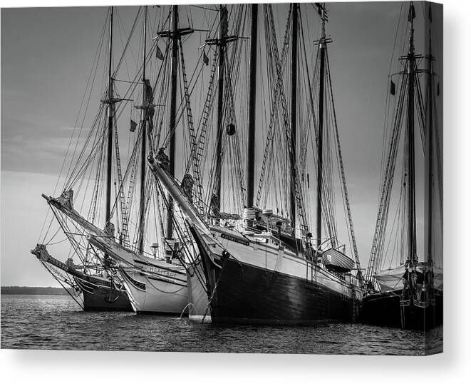 Windjammers Canvas Print featuring the photograph Windjammer Fleet by Fred LeBlanc