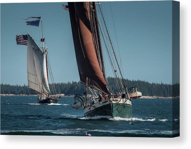  Boat Canvas Print featuring the photograph Windjammer Race by Fred LeBlanc