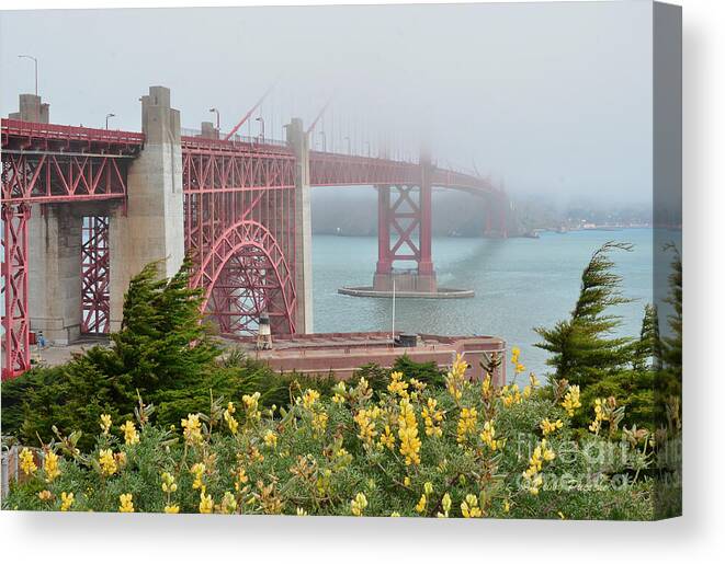 Windy Foggy Golden Gate Bridge by Debby Pueschel