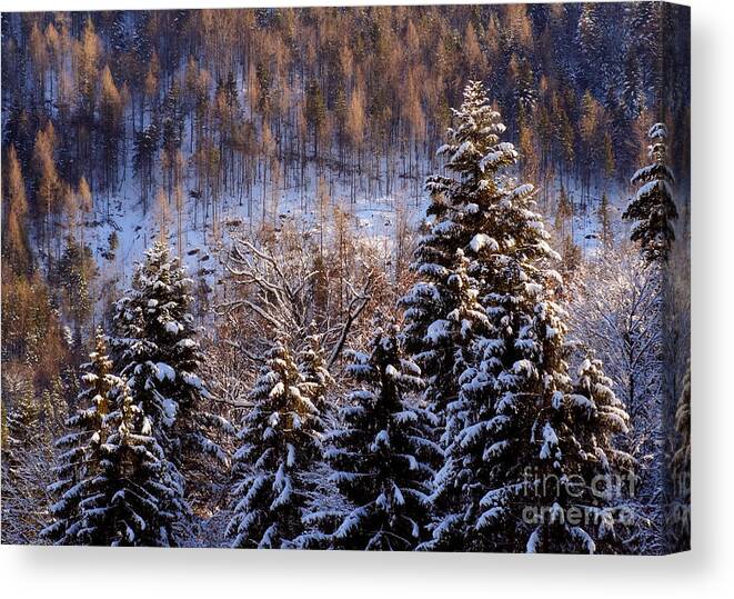 Prott Canvas Print featuring the photograph winter in Bavaria 8 by Rudi Prott