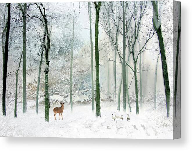 Winter Canvas Print featuring the photograph Winter Woodland by Jessica Jenney