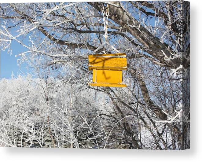 Bird House Canvas Print featuring the photograph Yellow Bird House by Pat Purdy