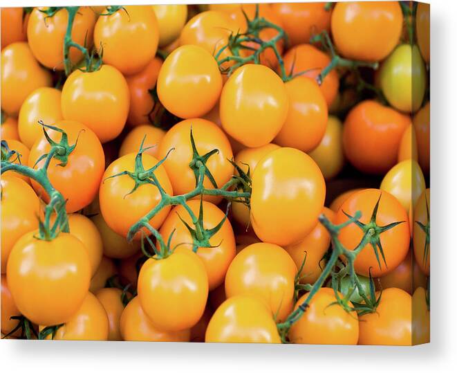 Tomatoes Canvas Print featuring the photograph Yellow Tomatoes by Todd Klassy