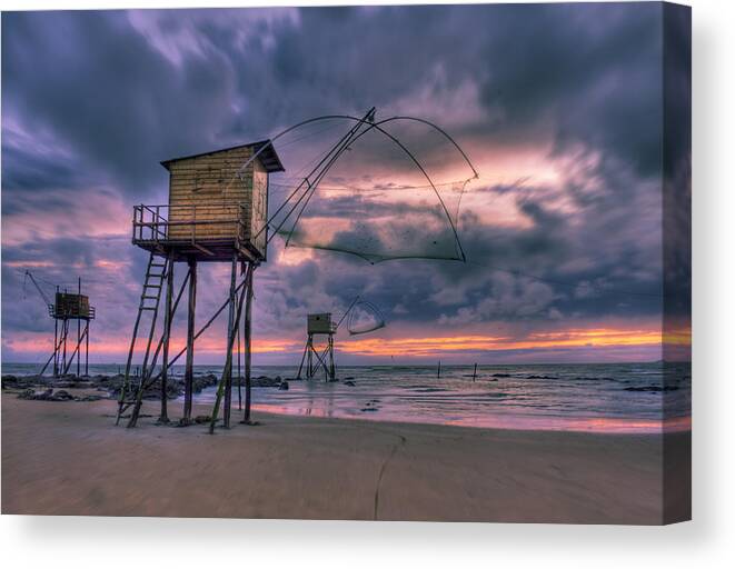 Purple Canvas Print featuring the photograph by Sobul