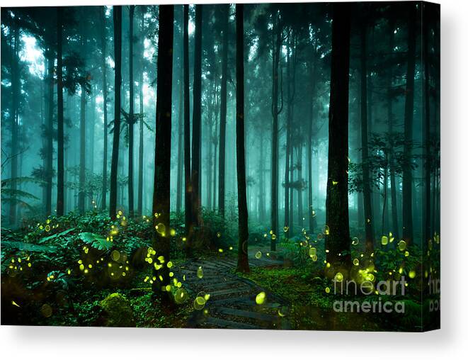 Through Canvas Print featuring the photograph Firefly by Htu