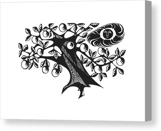 Apple Canvas Print featuring the drawing Sun and Fruit Tree #1 by CSA Images